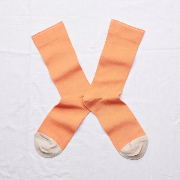 Adobe Socks - shopidPearl