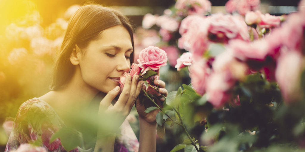 Exploring the power of scent to affect our moods