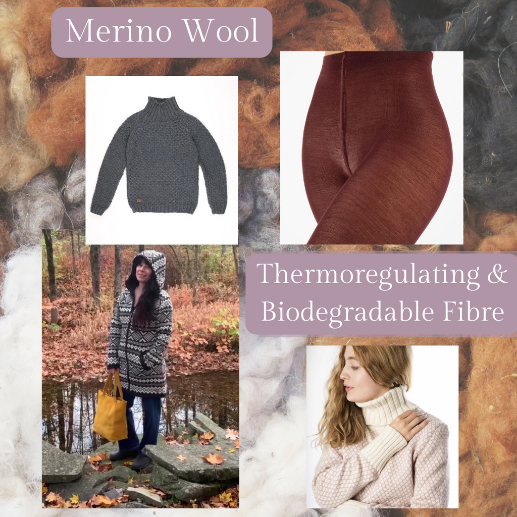 Merino Wool Makes Environmentally Friendly Knitwear