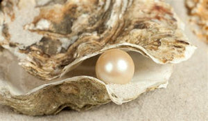Why Pearls Are So Special