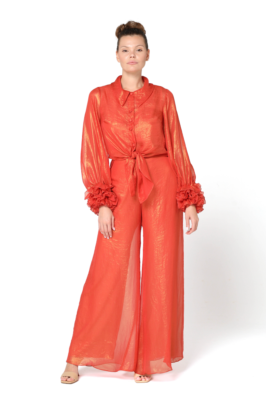 Ashtar Chiffon Pant Suit