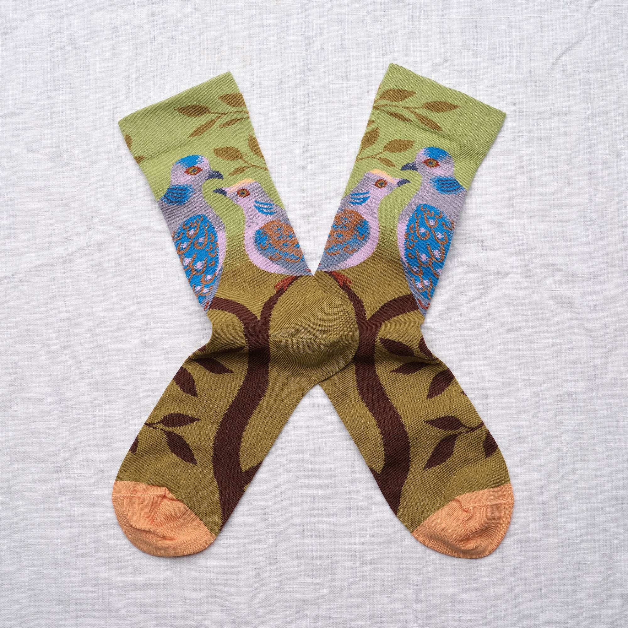 Paris Pigeons Cotton Socks