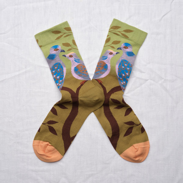 Paris Pigeons Cotton Socks
