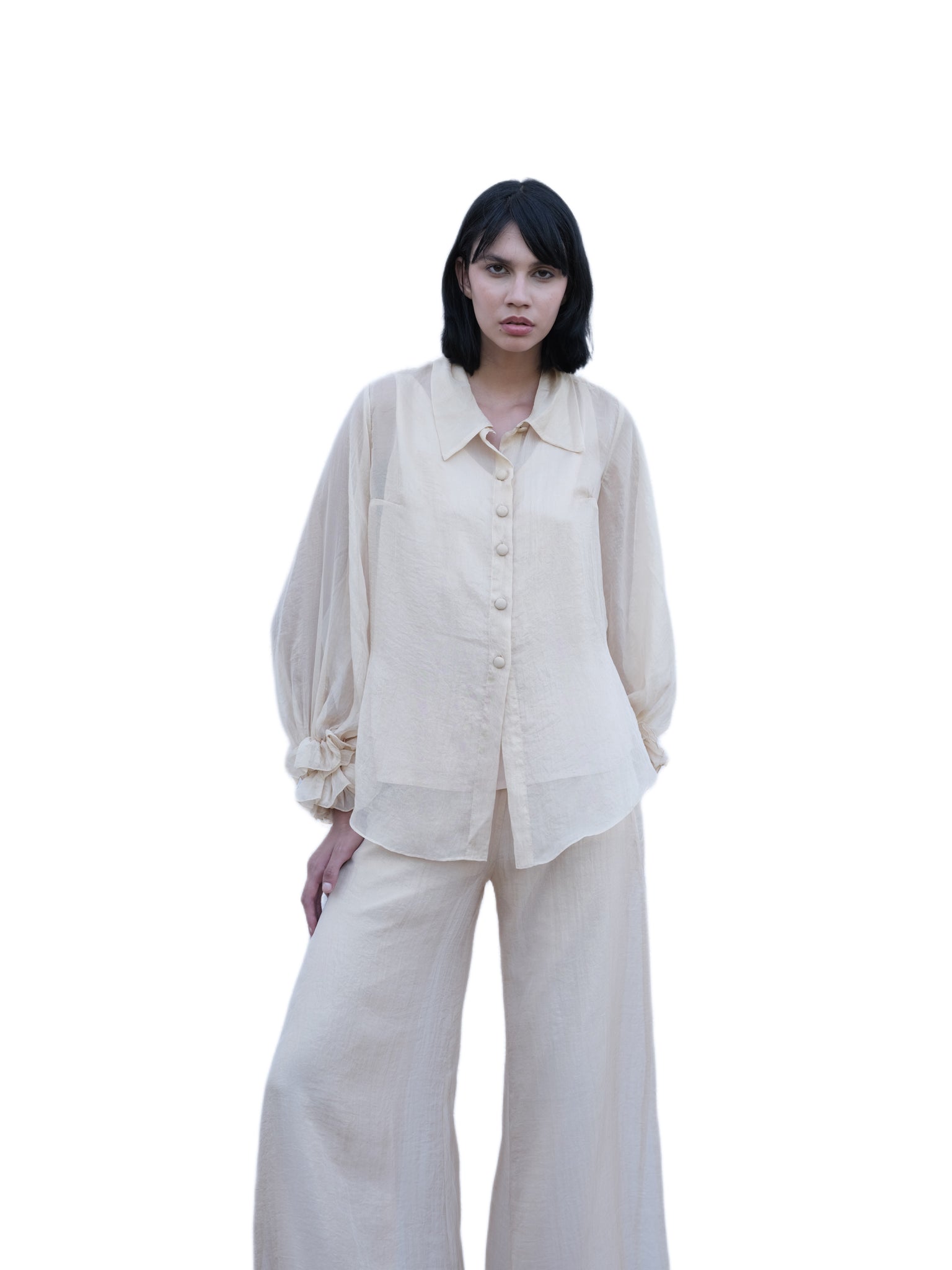 Ashtar Chiffon Pant Suit