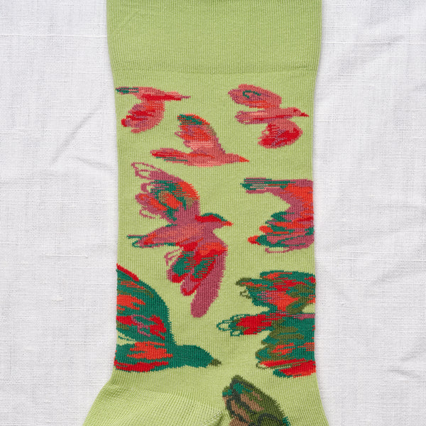 Birds in Flight Cotton Socks
